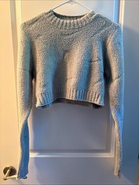 Cropped Crewneck Sweater in Light Gray